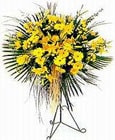 Düğün , Açılış , Nikah törenleri çiçeği bu ürünler adana çiçek gönderimlerinizde görsellik sağlayacaktır. Çiçek sipariş ve çiçe